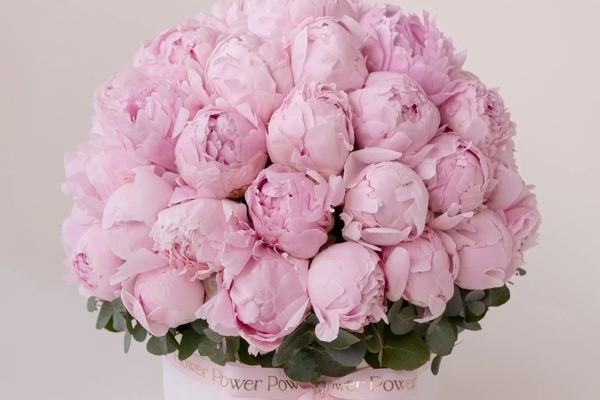 All you need is love and Flower Power
